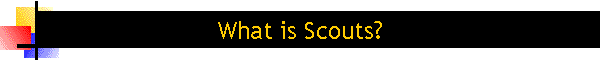 What is Scouts?